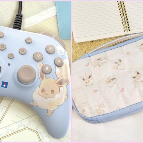 Check Out These Adorable Pokemon Eevee Switch 2 Accessories